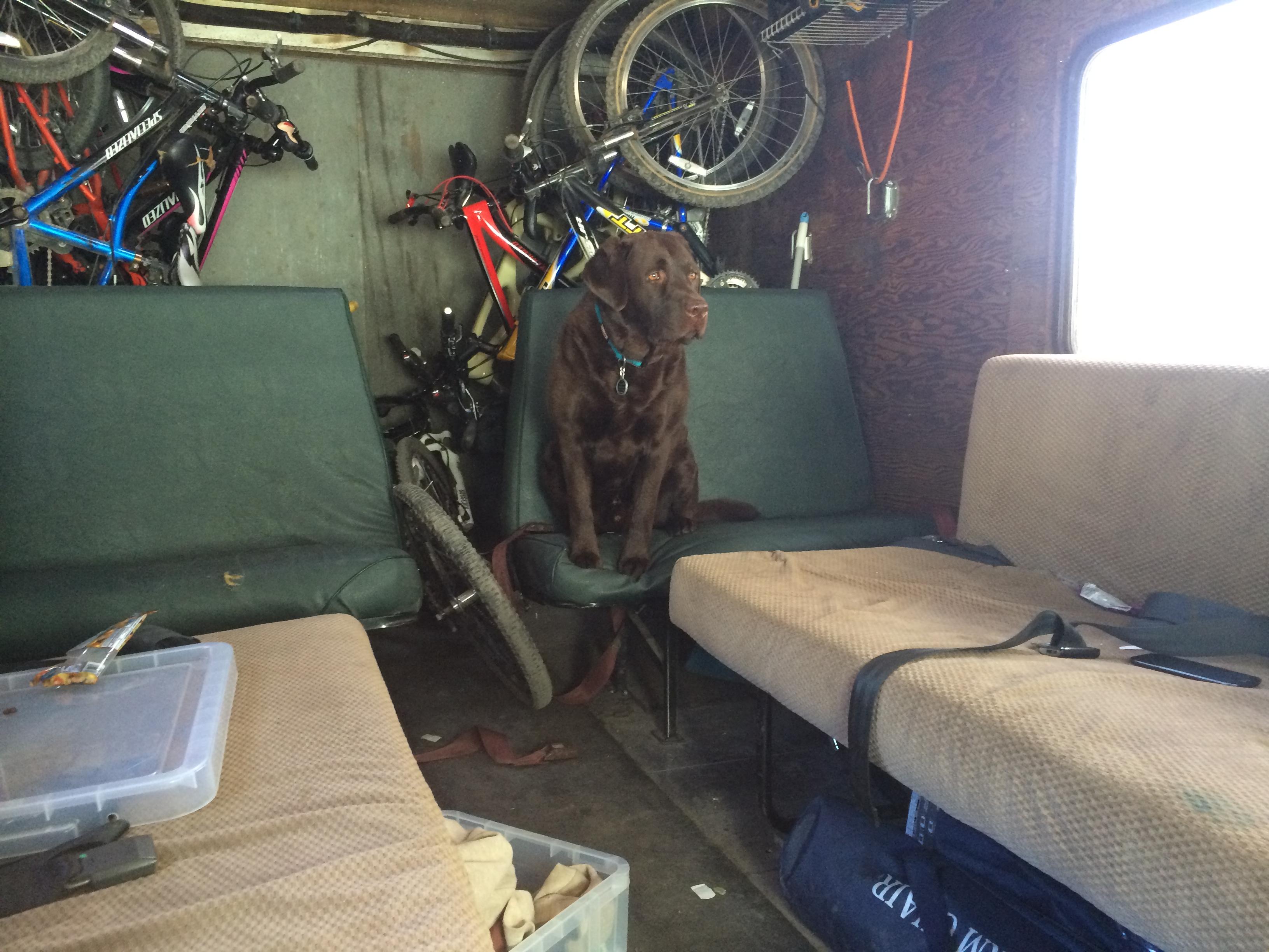 Why Trail Variety Matters for Kids’ Mountain Bike Confidence